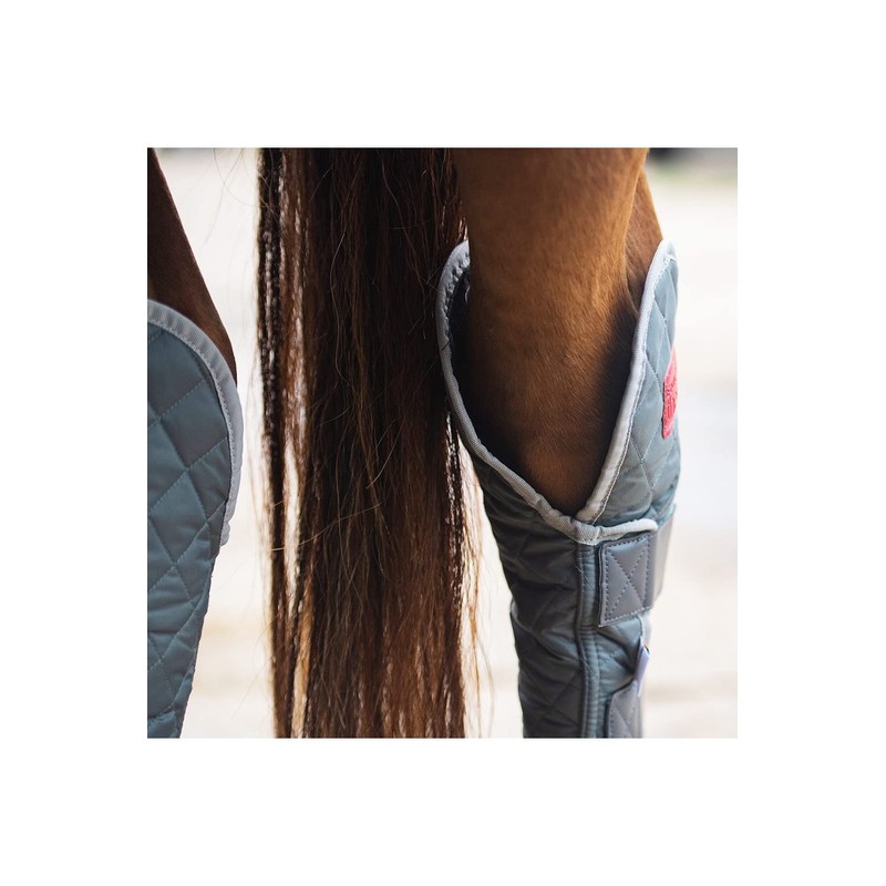 equilibrium Therapy Hind & Hock Magnetic Chaps