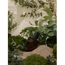 1-902 Green Gables Eau de Parfum 50ml / 1-902 그린 게이블즈 오드퍼퓸 50ml