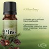 MEVA Esencias para Difusores y Humidificadores de Aromas 5ml Varios