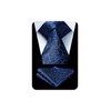 Hisdern TP-01S Men’s Paisley Pattern Necktie and Square Set, Business,