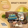 Byncceh Kid's Fossil Digging - Educational STEM Fossils Toys for