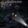 BEAUTYZOO Step in Dog Harness and Leash Set, Reflective Dog