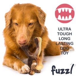 Fuzzl Ultra Tough Nylon Dog Chew Toy - Beef Flavour Crossbone Tough Dog Toys for Extreme Chewers - Dog Bone Long Lasting Dog Chew Toys for Aggressive Chewers Strong Dog Toy for Dogs Durable Puppy Toys