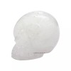 Amazing Gemstone INC Snow Quartz Crystal Skull