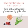 1 x HOYU PROMASTER SWEETIER Hair Treatment 200g Cranberry 200g
