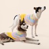 Wavy Knitted Dog Sweater for Dachshunds - 100% Cotton Winter