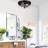 Flush Mount Ceiling Light Fixtures, 2-Light Black and Silver Ceiling