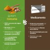 Cúrcuma En Polvo Superfood Leafy 200 Gr