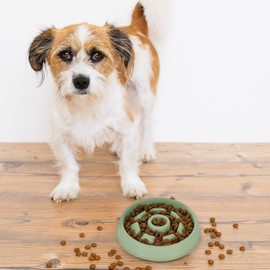 Relaxdays Anti Sling Bowl, Feeding Bowl for Dogs, Pet Bowl 550 ml, Slow Eating, Dog Bowl Dishwasher Safe, Green, 4 x 21 x 21 cm