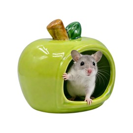 PENCK Cute Ceramic Hamster Hideout Habitats Syrian Dwarf Hamster Hide Hideaway House Cozy Bed Mini Chinchilla Gerbils Mice Hut Small Animals Sand Bath Cave Cage Accessories (Green)
