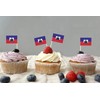 JBCD Haiti Toothpick Flag Haitian Mini Small Cupcake Topper Flags,