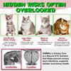 Feline Urinary Tract Health, Cat uti Remedy, Natural Herbal Supplement