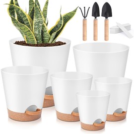 Plant Pots Indoor 8/7/6.5/6/5.5/5 Inch, Self Watering Pots for Indoor Plants, Self Watering Planters with Drainage Hole and Saucers, Plastic Flower Pots for Succulents, Cactus, African Violet