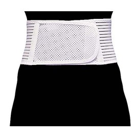 Lumbar Fixed Belt Guard Fit LL / 8-1638-04