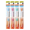Fukubadental Kiss You Flat Regular Replacement Brush, M, Regular x