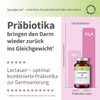 Lactasan Intestinal Restoration for Natural Regulation and Preparation of Intestinal