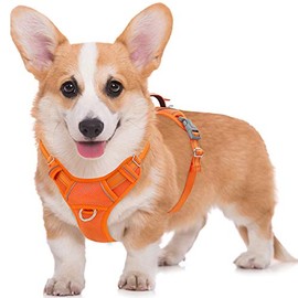 BARKBAY No Pull Dog Harness Large Step in Reflective Dog Harness with Front Clip and Easy Control Handle for Walking Training Running with ID tag Pocket(Orange,M)