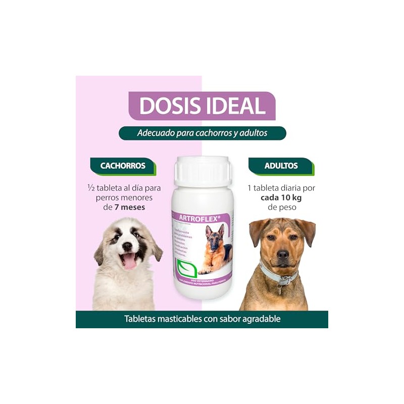 RUILAND Artoflex Combo Doble Suplemento para Perros 2 Packs 60