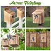Dreyoo 2 Pack Cedar Bluebird Box Houses for Outside, 1-1/2”