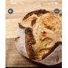 Boudins Bakery FREE SHIPPING Sourdough Starter Verified Live San Francisco 236yo TOP SELLER!