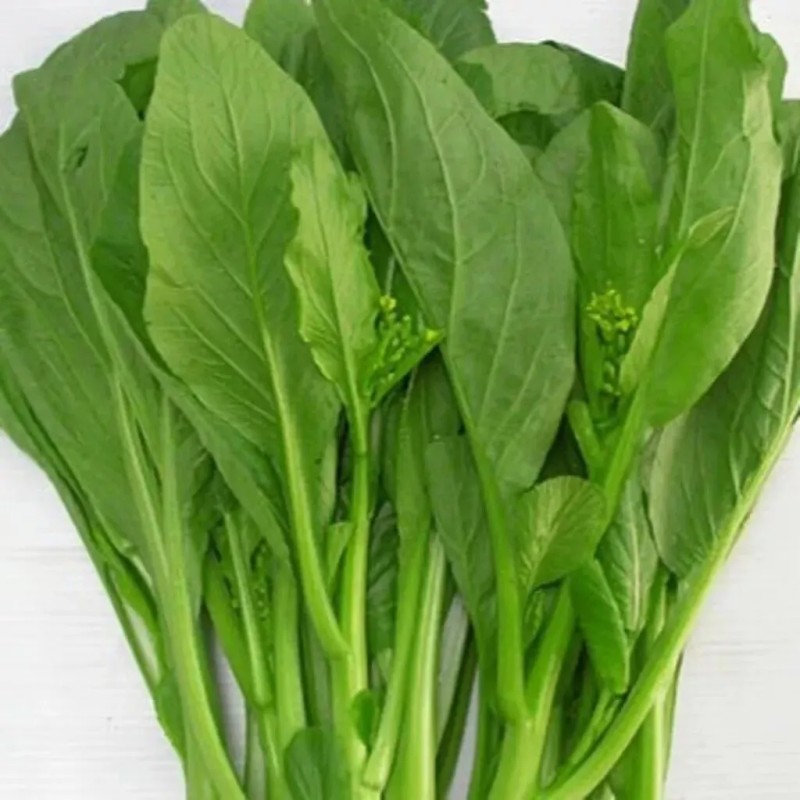 Fairy7Seas Seeds Asian Yu Choy / Choi Sum / Choy
