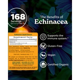 Herb Pharm Certified Organic Echinacea Root Liquid Extract for Immune System Support, Organic Cane Alcohol, 4 Ounce