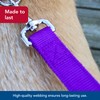 Coastal Pet Double-Ply Dog Leash - Bolt Snap Attachment to