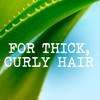 Maui Moisture Coconut Oil Conditioner for Curly Hair, 385ml