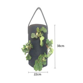 Nicole Knupfer Pack of 2 Strawberry Plant Bags, Hanging Strawberry Plant Bags Made of Felt, Plant Bag with Holes for Strawberry and Tomatoes (2 Pieces, Black)