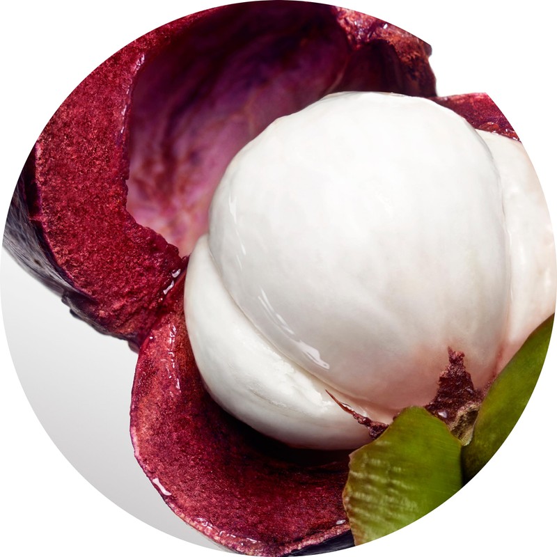 Davidoff Cool Water Eau de Toilette – Fresh Floral Women's