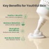 AXIS-Y [AXIS-Y]Panthenol 10 Skin Smoothing Shield Cream 50ml