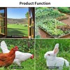 Chicken Wire 15.7 in x 393.7 in Poultry Wire Netting