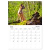 Malinois Magic: The Belgian Powerhouse (Monthly Wall Calendar 2026 11.7"