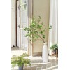 Tokyodo FG006801-zzz Artificial Flowers MAGIQ Bamboo Small Green L 15.7