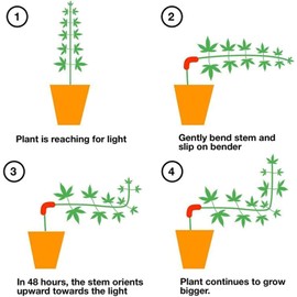LATRAT Pack of 30 Plant Clips Plant Bends 90 Degree Plant Trainer Clips Plant Growth Bender Clips Plant Bender Kits Plant Branches Bender for Plants Low Stress Training Control of Plants ​