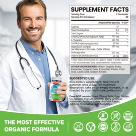 HOLLEGEND GABA Gummies, Sugar-Free Stress Relief Gummies for Adults, High-Potency GABA L-theanine Supplement with Magnesium, Ashwagandha, 5-HTP & Vitamin B6 for Zzz & Brain Health, Vegan, 60