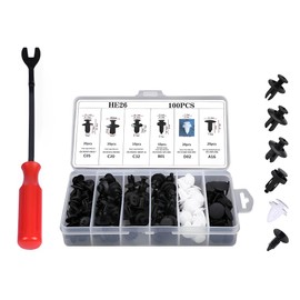 Bombinate Car Bumper Clips (6 Types, Set of 100 + Tools) with Storage Box