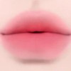 Dinto [Dinto]*Madame Butterfly* Blurring Lip Veil (10 colors)