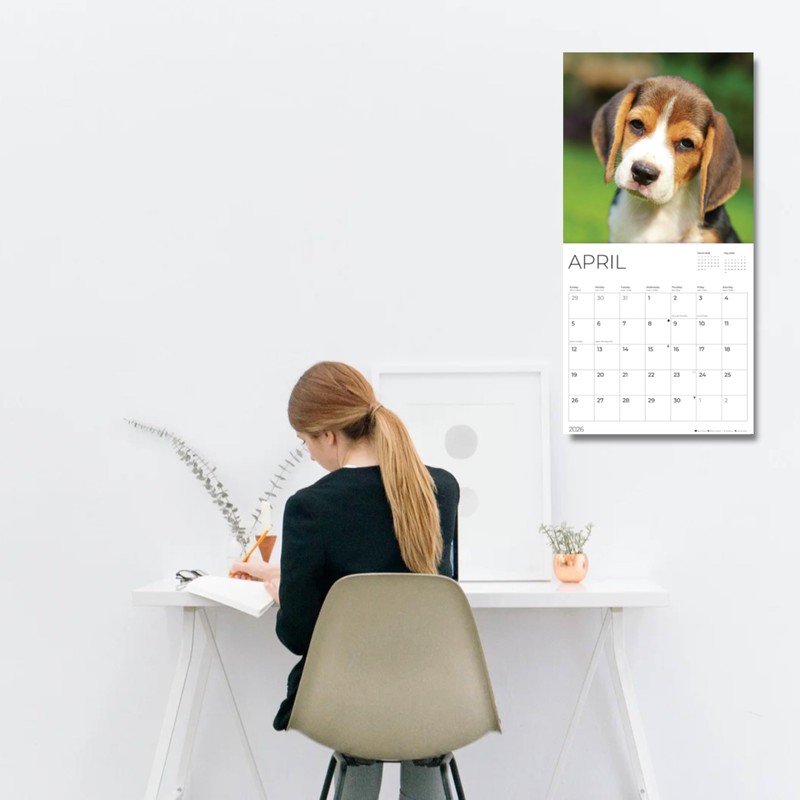 2026 Wall Calendar | 12" x 24" Open | Dog