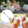 Egg Opener with Egg Cutter, Stainless Steel Egg Cutter, Egg