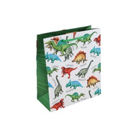 Eurowrap Dinsoaur Gift Bag With Gift Tag - Gift Bag for Boys, Girls, Birthdays, Kids, Children - Dinosaur Themed Boys Happy Birthday Gift Wrap Occasion Present - Medium Size