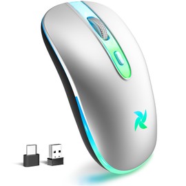 HZD Wireless Mouse, 2.4G Ergonomic Optical LED Mouse with USB Receiver and Type C Adapter, Computer Mouse, 3 Adjustable DPI Levels 1600/1200/800 for Laptop/Tablet/Computer(Silver)