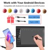 Graphics Drawing Tablet,10x6 inch Digital Writing Tablet with 8192 Levels