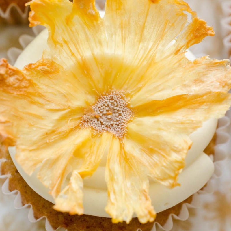 Dehydrated Dried Pineapple Flower Rings | 30+ Slices | 100%