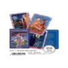 U.S.Games System 302311 Special Card Decks