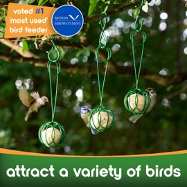 Hanging Fat Ball Feeder (Pack of 3) - Galvonised Iron - WEATHERPROOF Bird Feeders for Small Birds, Outdoor Garden Suet Feeder for Trees or a Bird Feeders Hanging Station