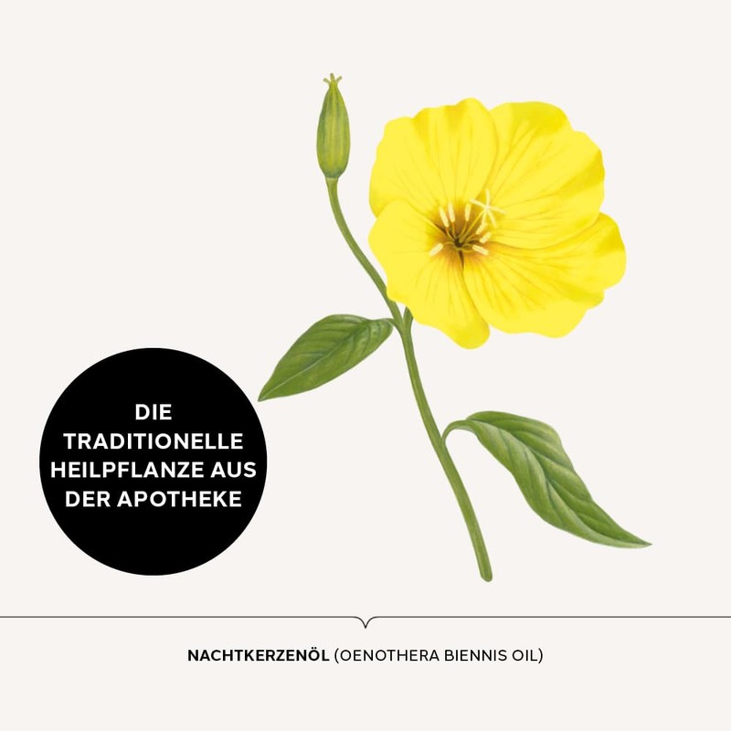 Dr. Scheller Pharmacist Rich Evening Primrose Oil Intensive Cream 50