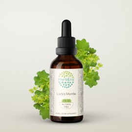 HerbEra Lady's Mantle Alcohol-FREE Tincture, Organic (Alchemilla vulgaris) - 2 fl oz