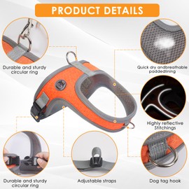 Dog Harness and Leash Set, No Pull Saddle Style pet Harness, Soft Ventilate Mesh, Adjustable, Reflective - for Medium, Small Dogs and Cats - Easy Walk Harness with 2 D-Rings (Orange, L)