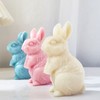 3D Rabbit Candle Silicone Molds Easter Bunny Resin Casting Mould